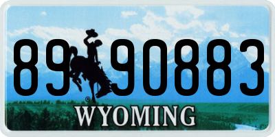 WY license plate 8990883