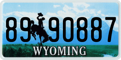 WY license plate 8990887