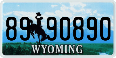 WY license plate 8990890