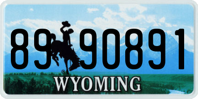 WY license plate 8990891