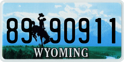 WY license plate 8990911