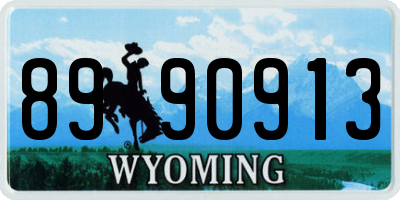 WY license plate 8990913