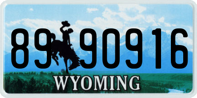 WY license plate 8990916