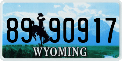WY license plate 8990917