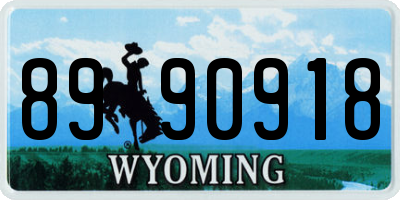 WY license plate 8990918