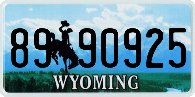 WY license plate 8990925