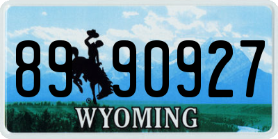 WY license plate 8990927