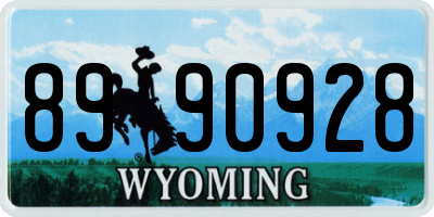 WY license plate 8990928