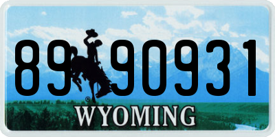 WY license plate 8990931