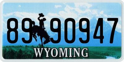 WY license plate 8990947