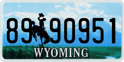 WY license plate 8990951