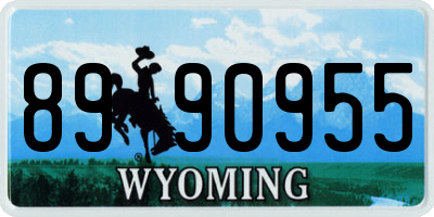 WY license plate 8990955