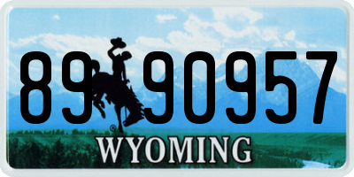 WY license plate 8990957