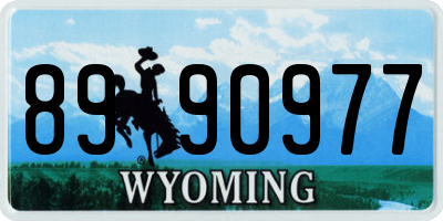 WY license plate 8990977