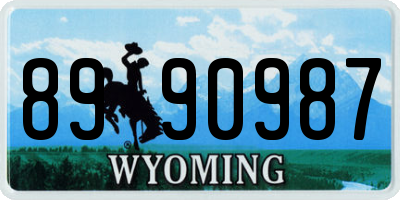 WY license plate 8990987