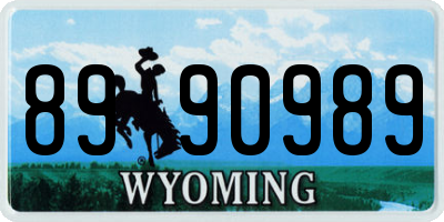 WY license plate 8990989