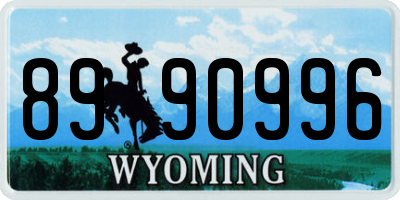 WY license plate 8990996