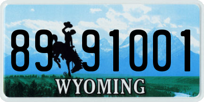 WY license plate 8991001