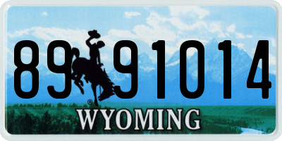 WY license plate 8991014