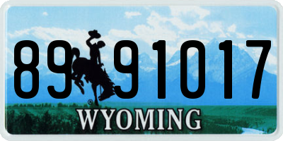 WY license plate 8991017