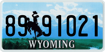 WY license plate 8991021