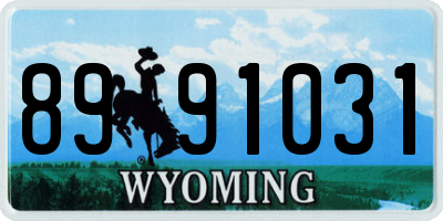 WY license plate 8991031