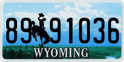 WY license plate 8991036
