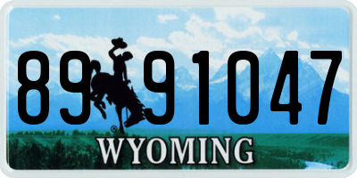 WY license plate 8991047