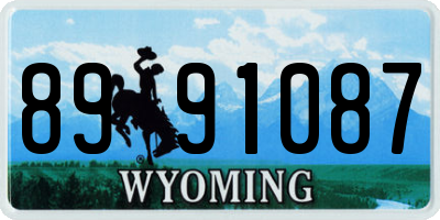 WY license plate 8991087