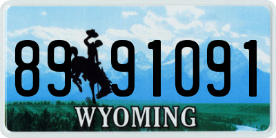 WY license plate 8991091
