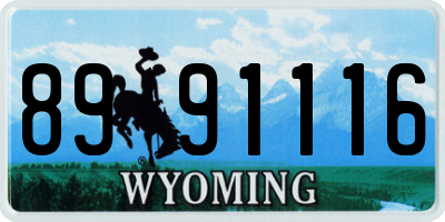 WY license plate 8991116