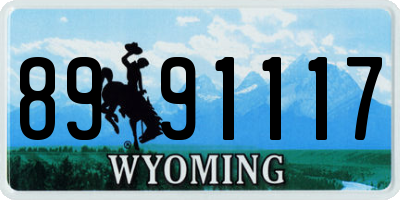 WY license plate 8991117