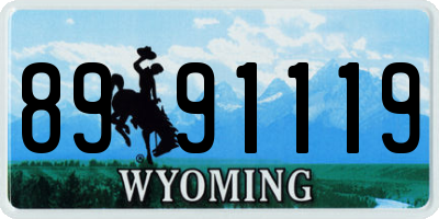 WY license plate 8991119