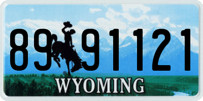 WY license plate 8991121