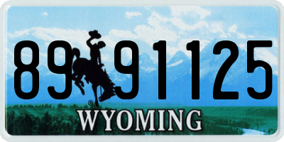 WY license plate 8991125