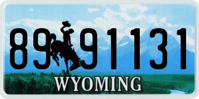 WY license plate 8991131