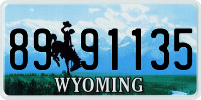 WY license plate 8991135