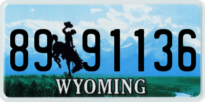 WY license plate 8991136