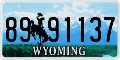 WY license plate 8991137