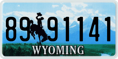 WY license plate 8991141