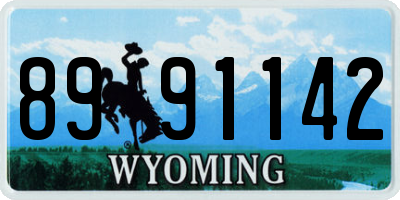WY license plate 8991142