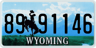 WY license plate 8991146