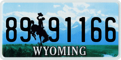 WY license plate 8991166