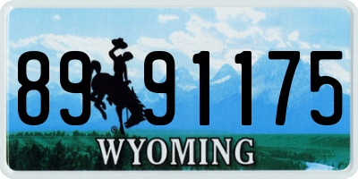 WY license plate 8991175