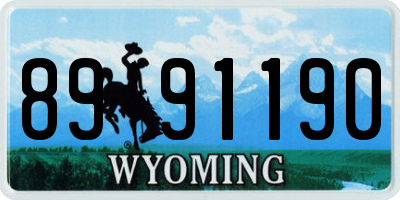 WY license plate 8991190