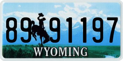 WY license plate 8991197