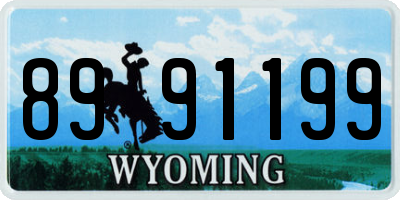 WY license plate 8991199