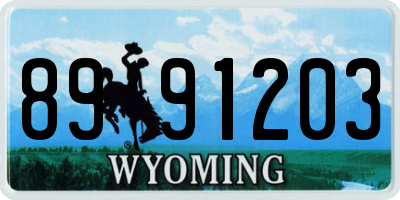 WY license plate 8991203