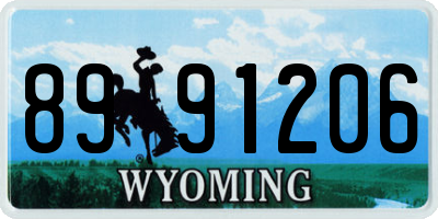 WY license plate 8991206