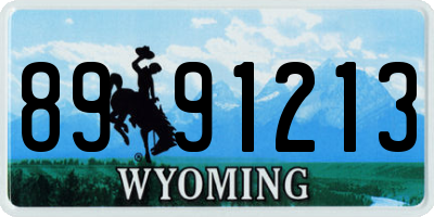 WY license plate 8991213